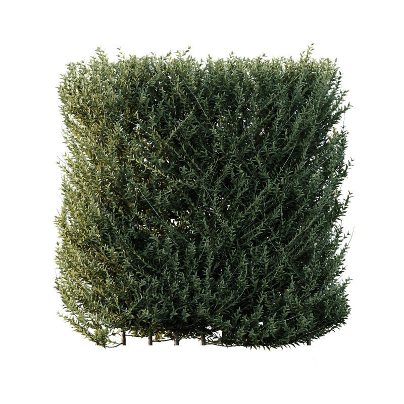 ntal evergreen shrubs, designed with exceptional precision for architectural visualization and landscape rendering. Image 4