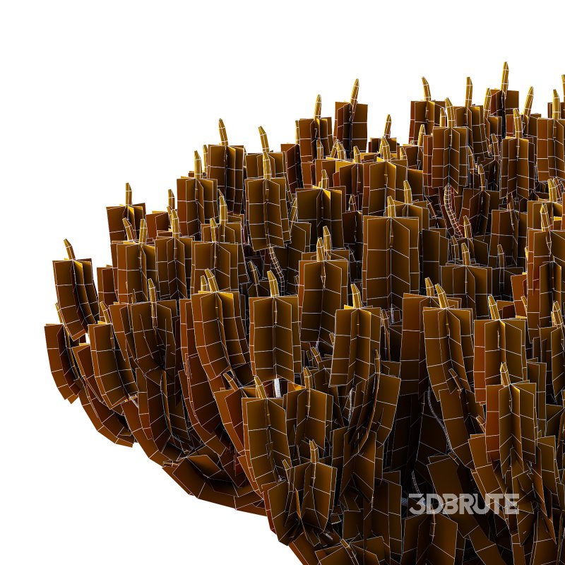 Pinus Mugo plant 06 Image 1