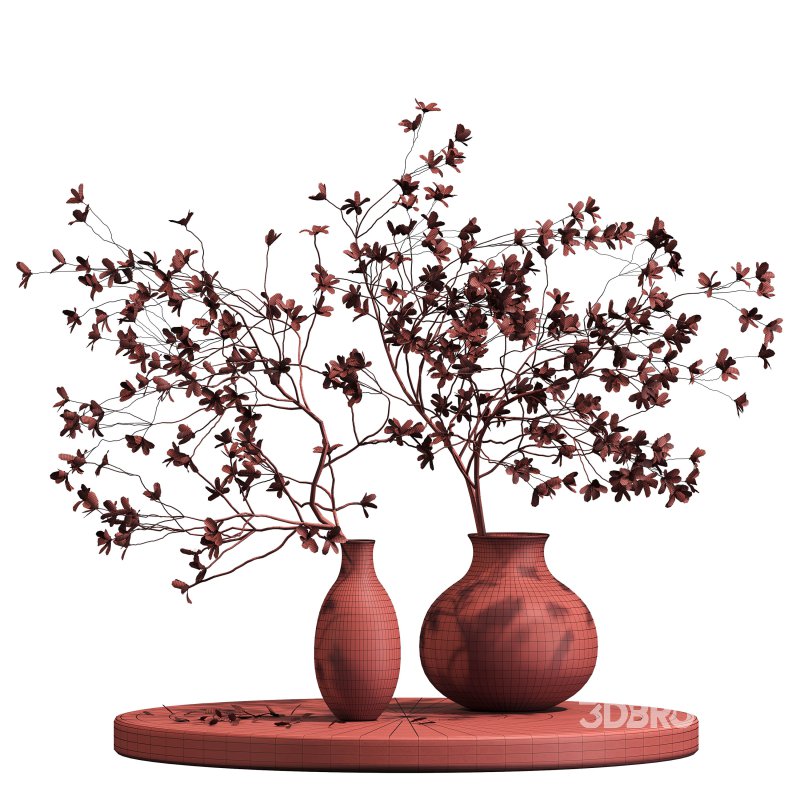 Indoor plant 075 Image 3