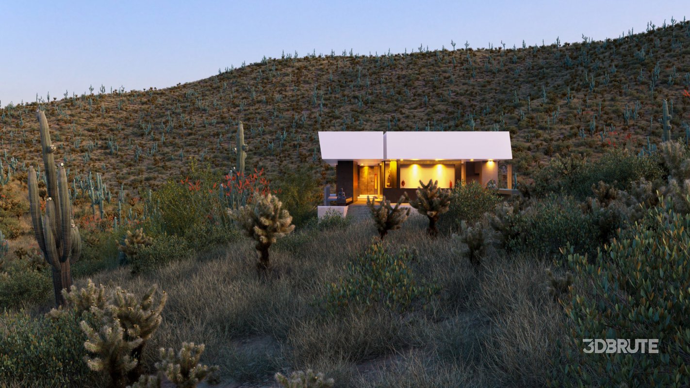 Collection 23 – Mexican Plants Image 2