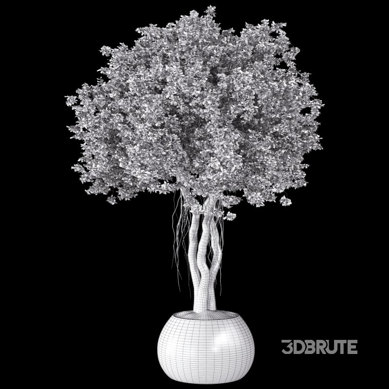 Indoor Plant Set 031 Image 4