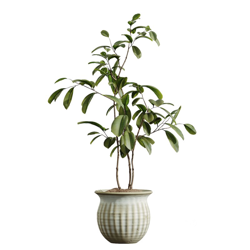 AV Indoor Plants Set 392 Image 8