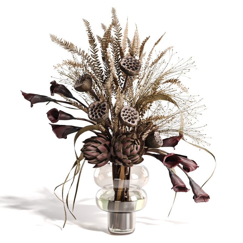 Lotus and Artichoke Dried Set47 Image 1