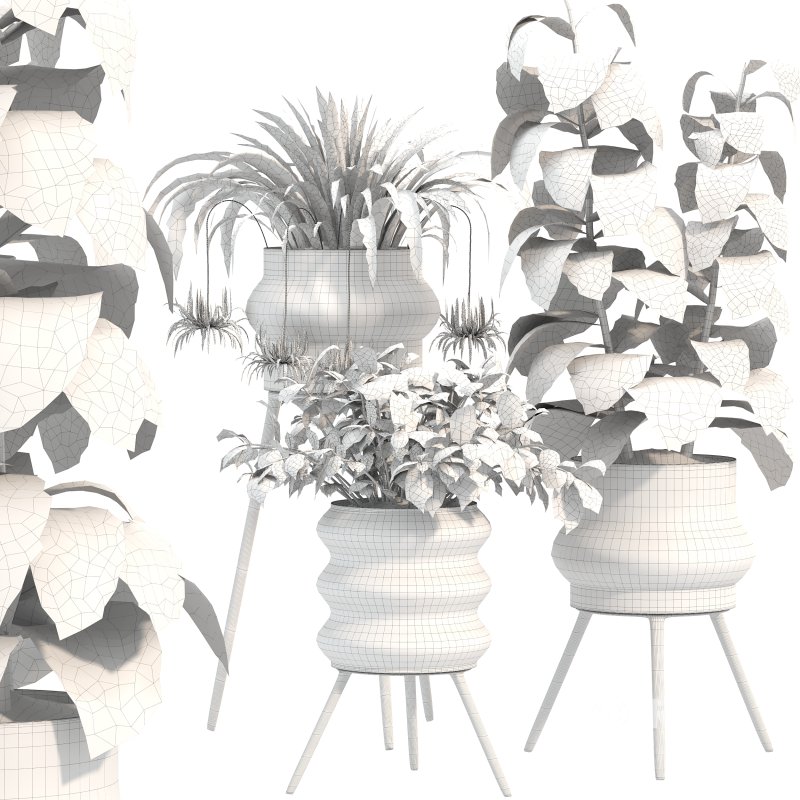 Concrete Pot Plant Set Image 3