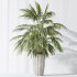 AV Indoor Plants Set 397 Zamiifolia and Giant Monstera and Dracaena Warneckii Lemon and Areca Palm - Thumbnail 11
