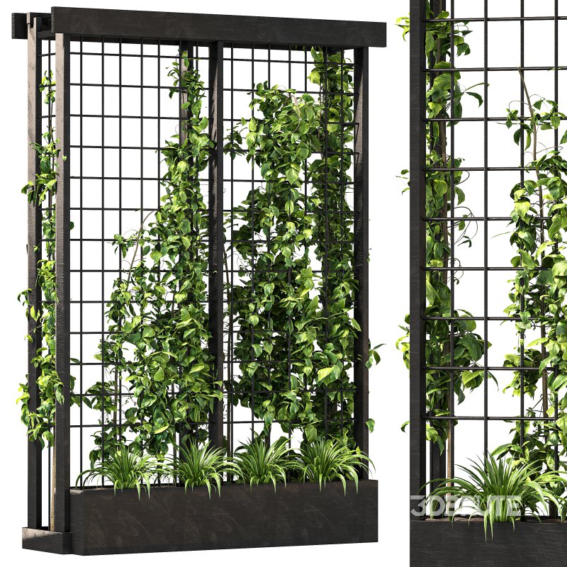 Vertical Garden Trellis 02 Image 8