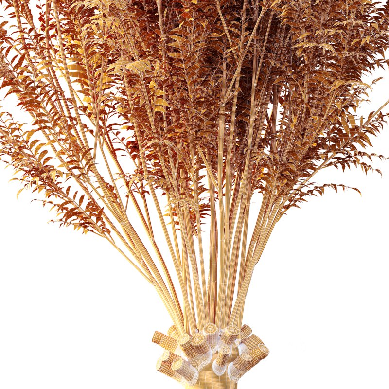 ntal compositions. Image 9