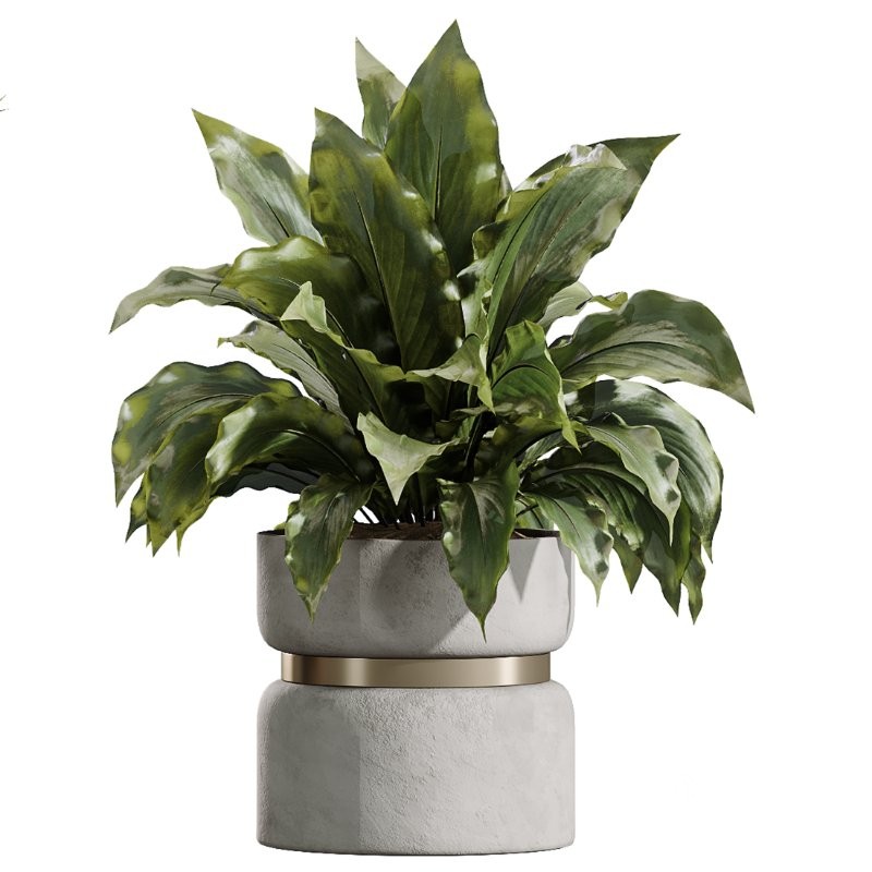 AV Indoor Plants Set 411 Spathiphyllum Lily Palm Ficus Lemon Image 3