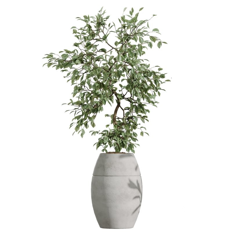 AV Indoor Plants Set 405 Image 4