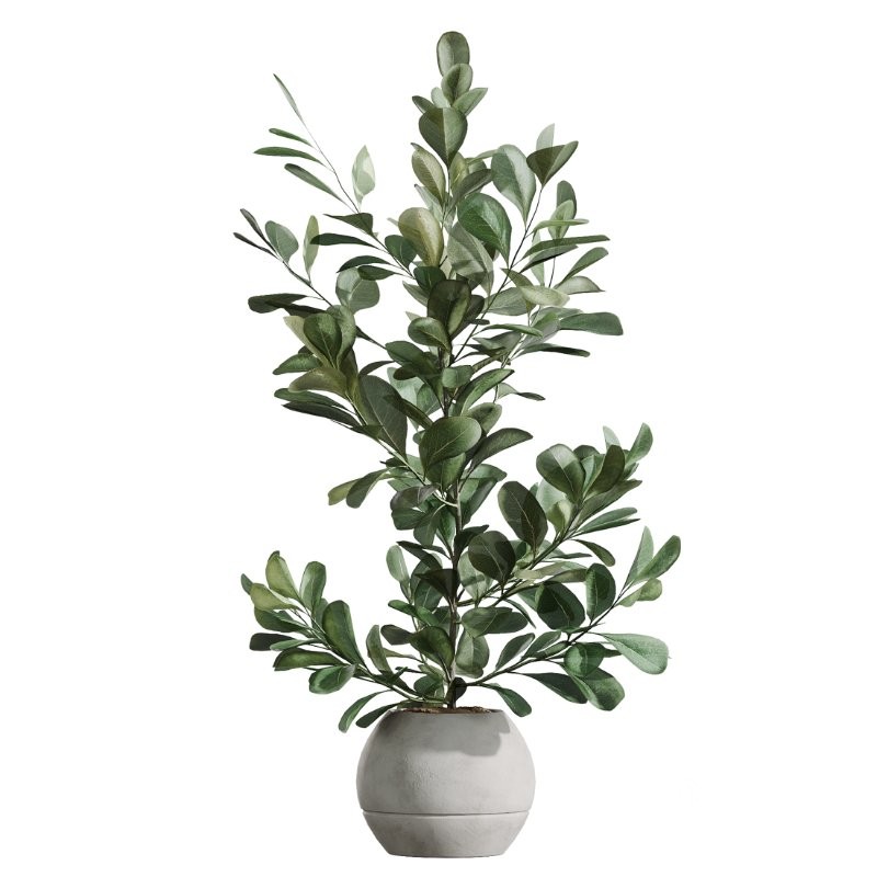 AV Indoor Plants Set 405 Image 3