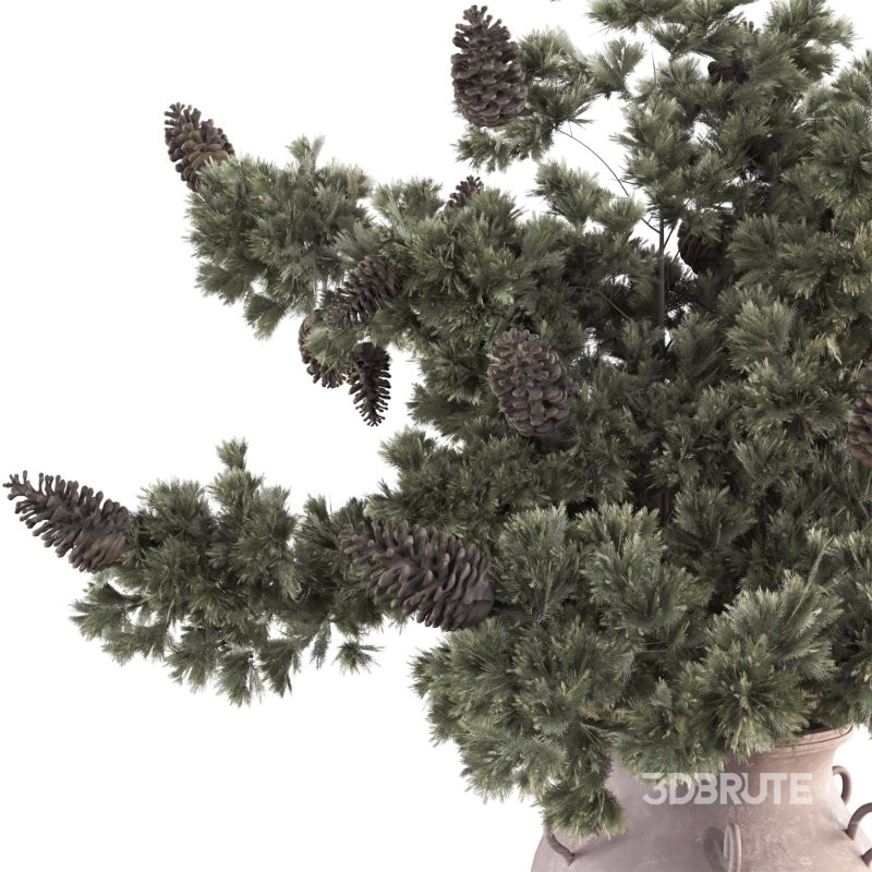 Bouquet of Pine Branches in Vase 47 Image 3