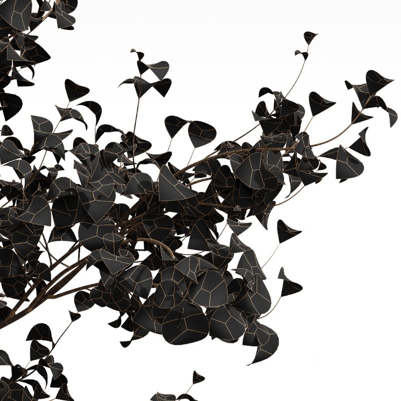 AV Acer Saccharinum and European Bladdernut Spring 2 Trees Image 4