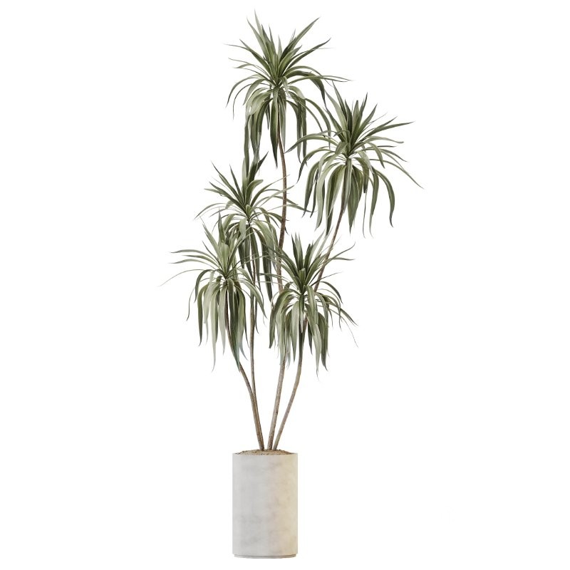 AV Indoor Plants Set 408 Banana Ficus Swiss Cheese olive Lemon Image 1