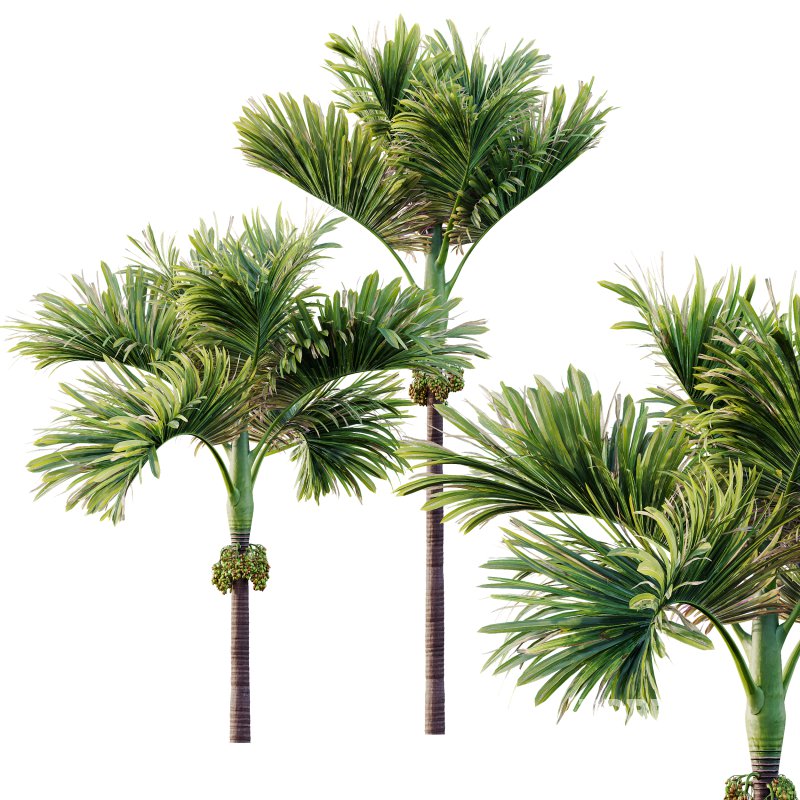 ntal compositions. Image 6