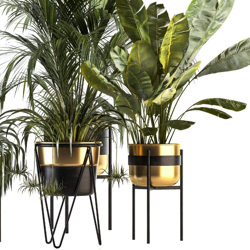 Metal Plant Set 08 Image 2