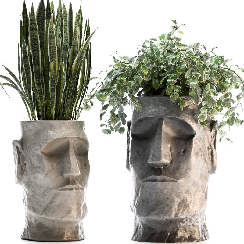Easter Island Planter 02 Image 2