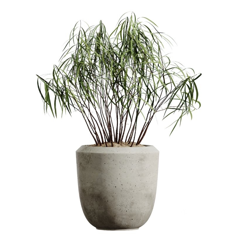 ntal grass element adds movement and softness. Together, these plants form a curated arrangement ideal for luxury homes, boutique hotels, creative studios, lobbies, restaurants, and high-end staging. Image 2