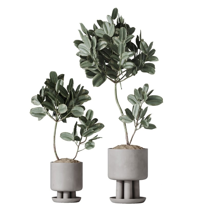 AV Indoor Plants Set 405 Image 1