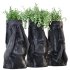 Easter Island Planter - Thumbnail 3