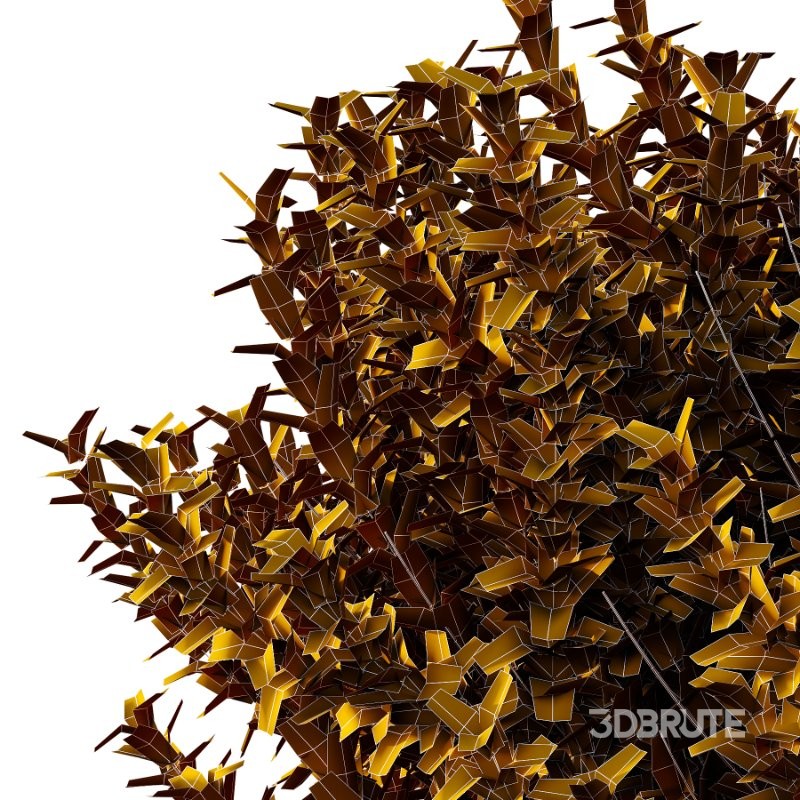 s vary widely among different species and between different English-speaking countries, but include spindle (or spindle tree), burning-bush, strawberry-bush, wahoo, wintercreeper, or simply euonymus. It has about 140 species of deciduous and evergreen shrubs, small trees and lianas. They are mostly native to East Asia, extending to the Himalayas, and they are also distributed in Europe, Australasia, North America, and Madagascar. Fifty species are endemic to China. Image 4