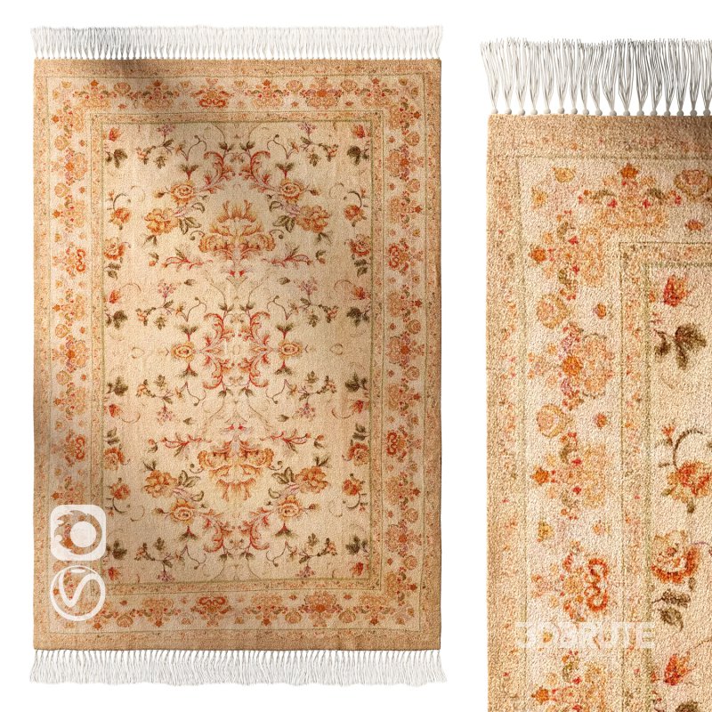 Rug Image 1