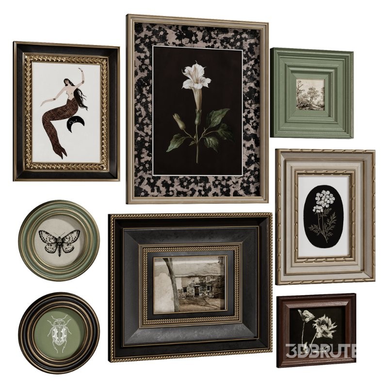 Vintage Curiosity Wall Set 002 Image 2