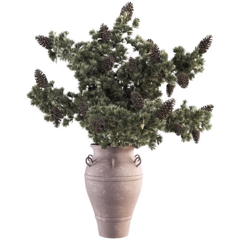 Bouquet of Pine Branches in Vase 47 Image 2
