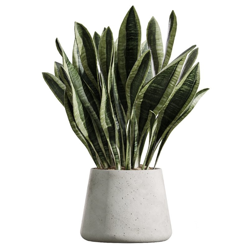 ntal grass element adds movement and softness. Together, these plants form a curated arrangement ideal for luxury homes, boutique hotels, creative studios, lobbies, restaurants, and high-end staging. Image 3