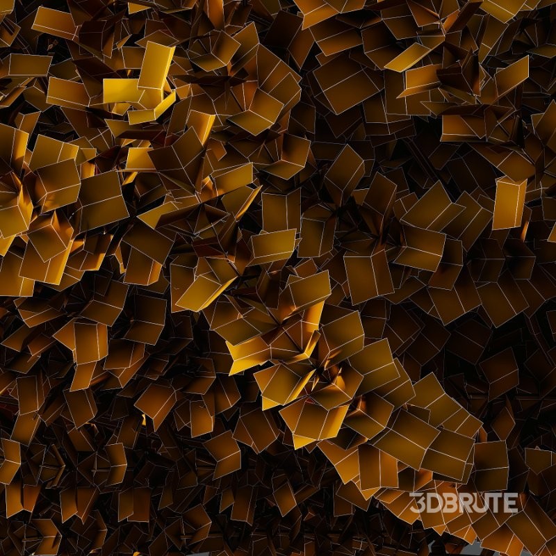 Frutices Fortescue Euonymus 05 Image 3