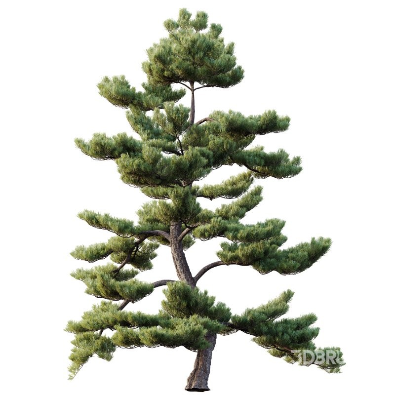 ntal composition. Image 2