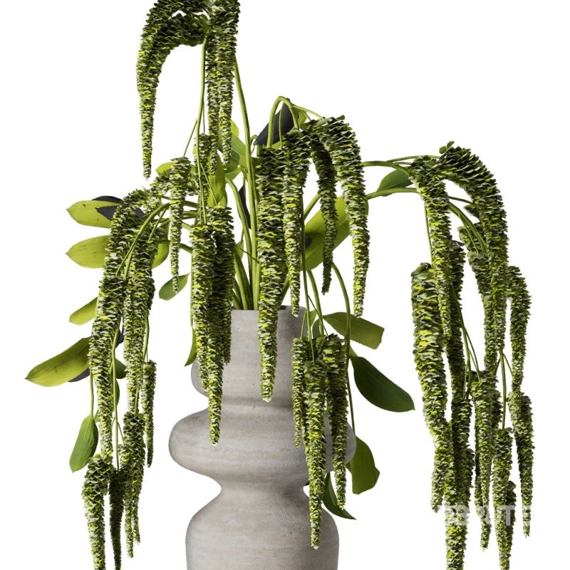 Bouquet set 56 Image 4