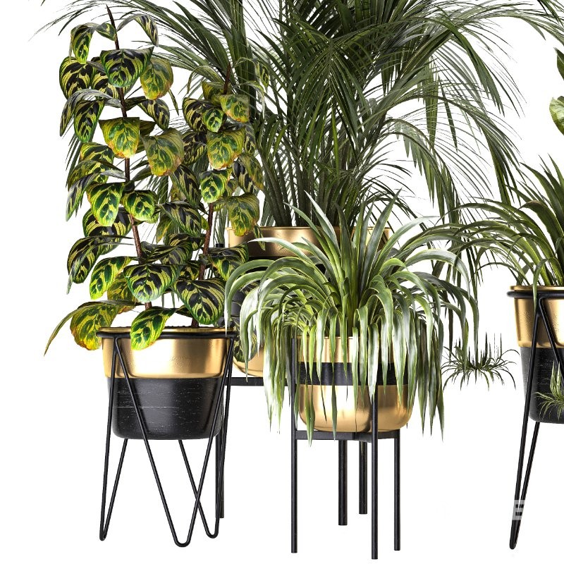 Metal Plant Set 08 Image 3