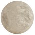 Rough Plaster Concrete - Thumbnail 4