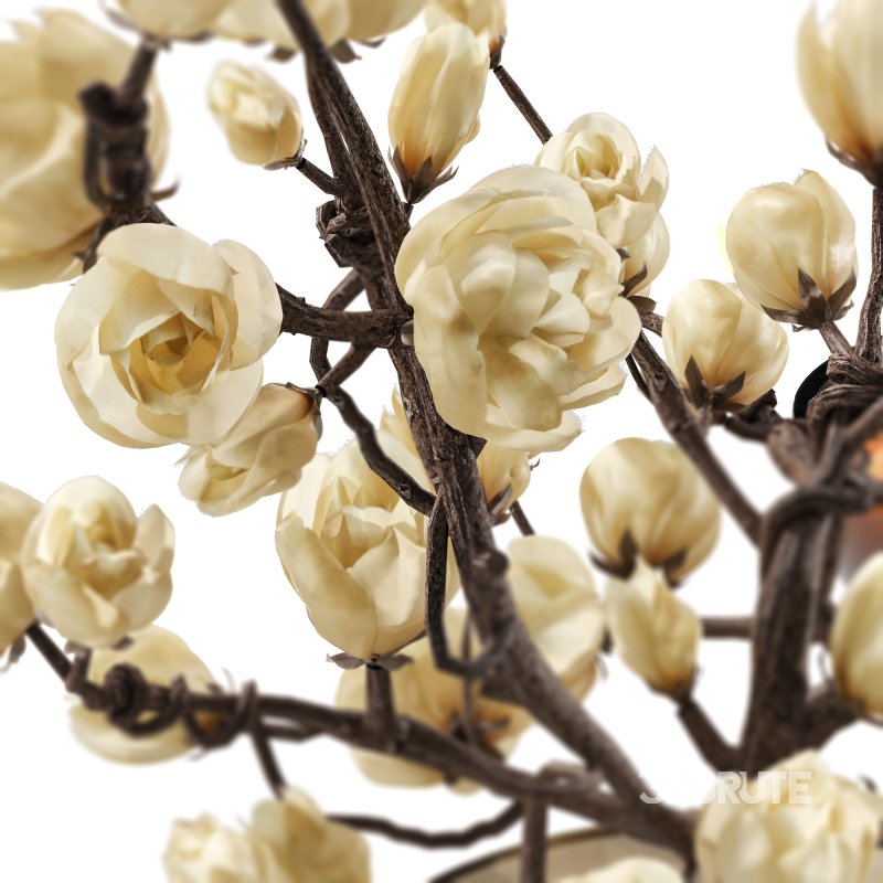 Amber Serenity Dining Composition 28 Image 2