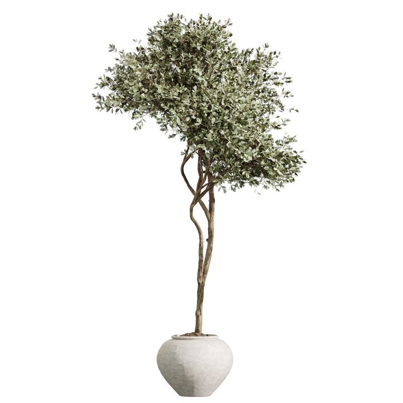 ntal grass element adds movement and softness. Together, these plants form a curated arrangement ideal for luxury homes, boutique hotels, creative studios, lobbies, restaurants, and high-end staging. Image 1
