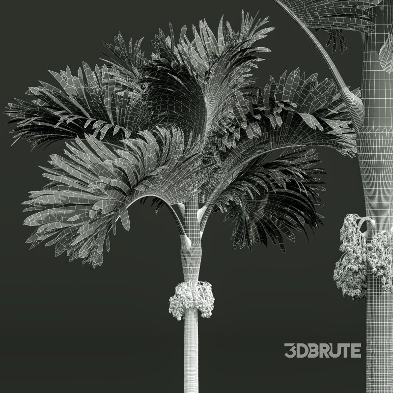 ntal compositions. Image 11