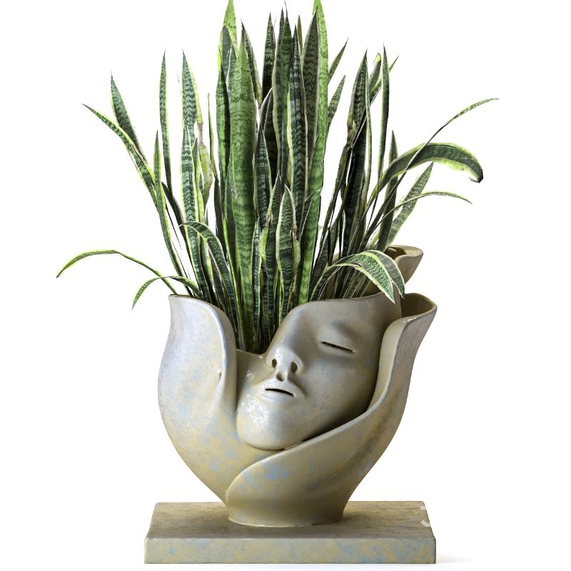 Concrete Pot Plant Set 06 Image 3