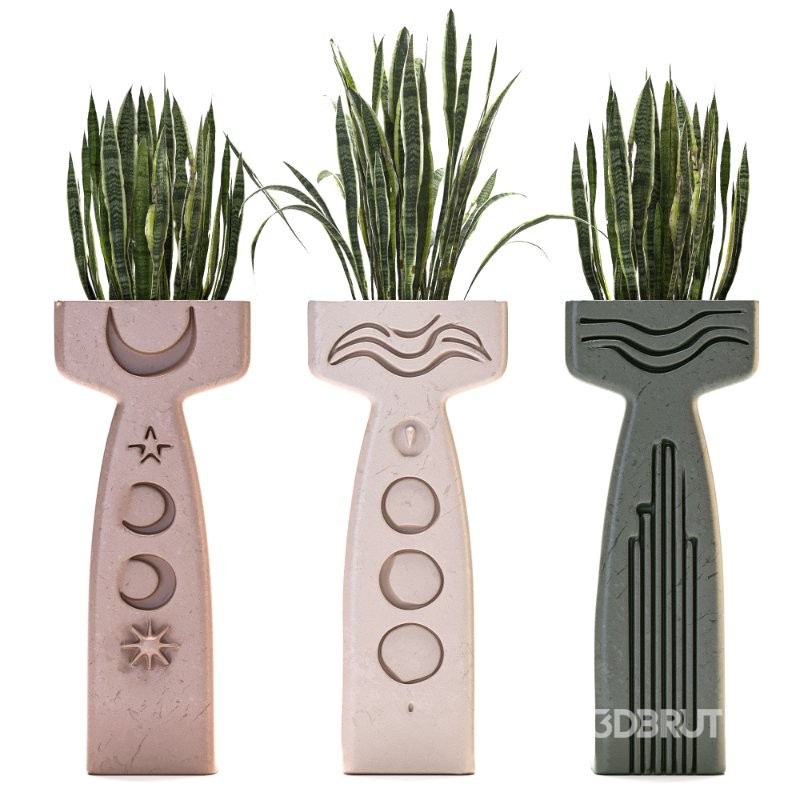 Concrete Pot Plant Set 03 Image 4