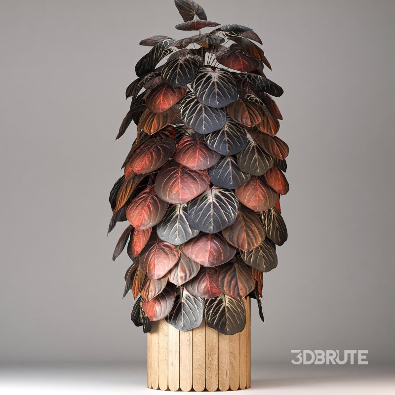 Boho Pot Plants 02 Image 3