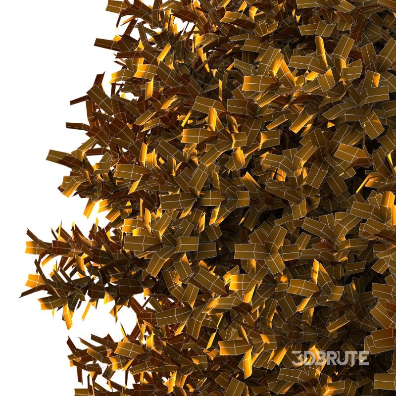 Frutices Fortescue Euonymus 10 Image 5