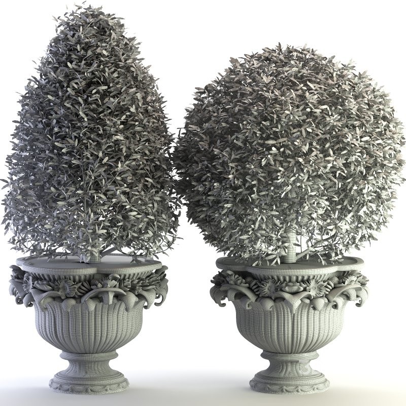 Outdoor Plant 02 Image 1