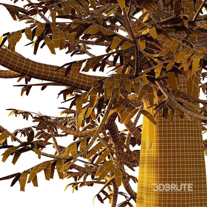 Mountain Ash Tree 14 Image 1