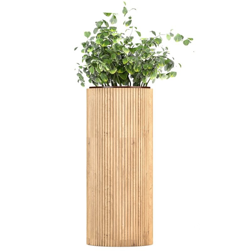 Boho Pot Plants Image 1