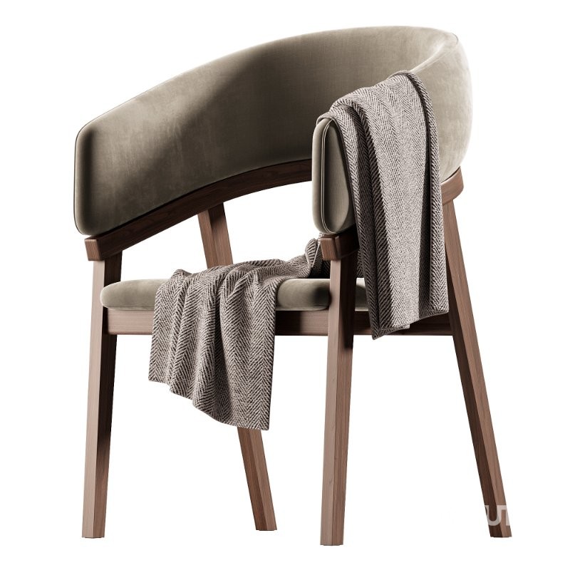 Modrest Truman – Mid-Century Modern Grey Walnut Dining Chair Image 2