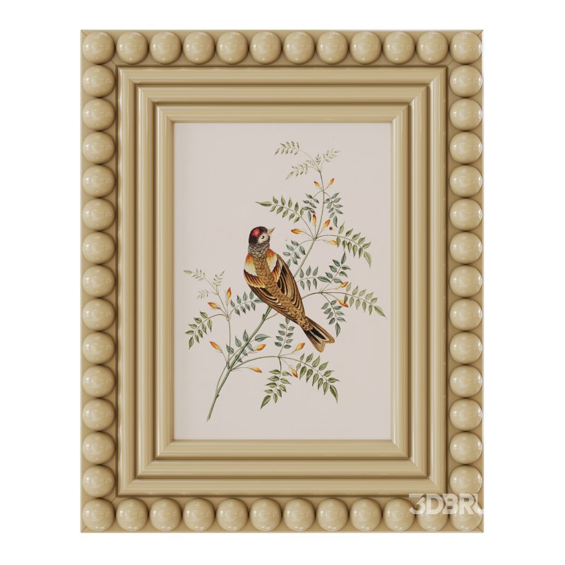 Bobbin frames set 01 Image 5