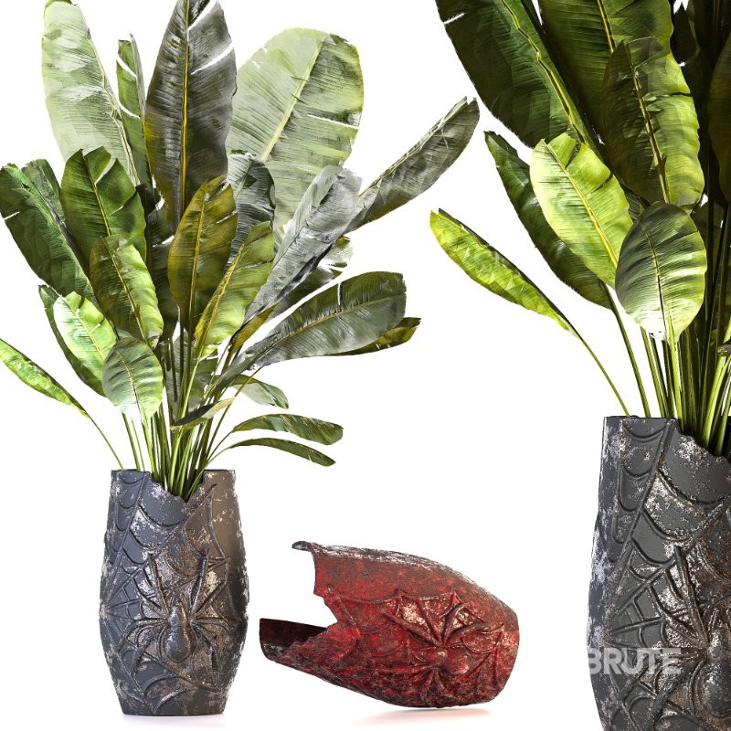 Concrete Pot Plant Set 05 Image 3