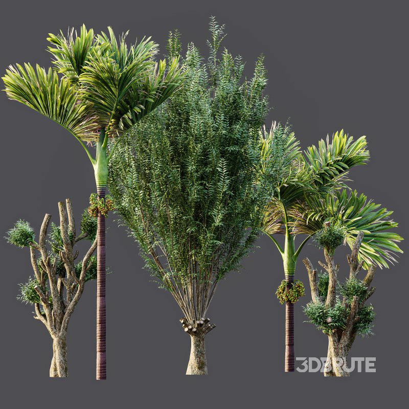 ntal compositions. Image 8