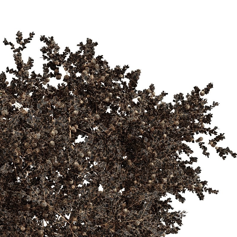 AV Apple fruit tree and Water gum 2 trees Image 4