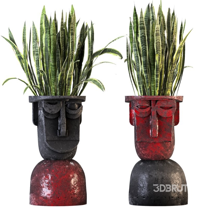 Concrete Pot Plant Set 07 Image 4