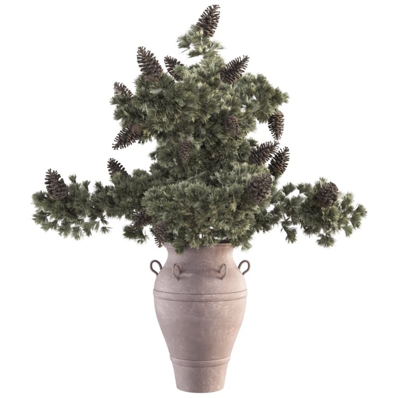 Bouquet of Pine Branches in Vase 47 Image 1